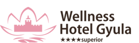 Wellness Hotel